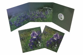 Τα μεγαλύτερα μουσικά συγκροτηματα στο cc.visualrow.com